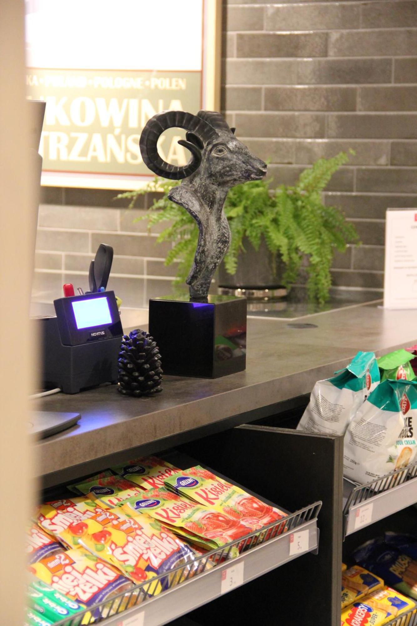 Apartamenty Aries Residence Bukowina Bukowina Tatrzanska Bagian luar foto